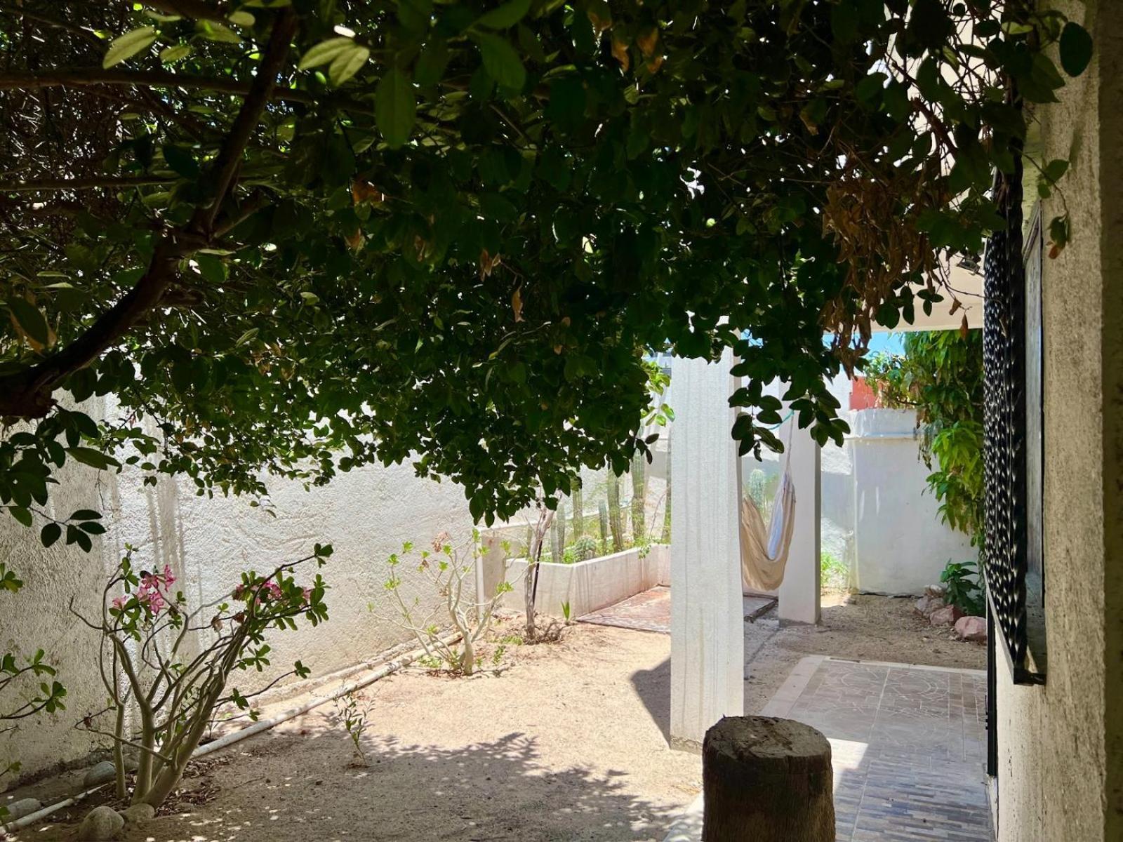 La Casa Del Pescador La Paz Exterior foto