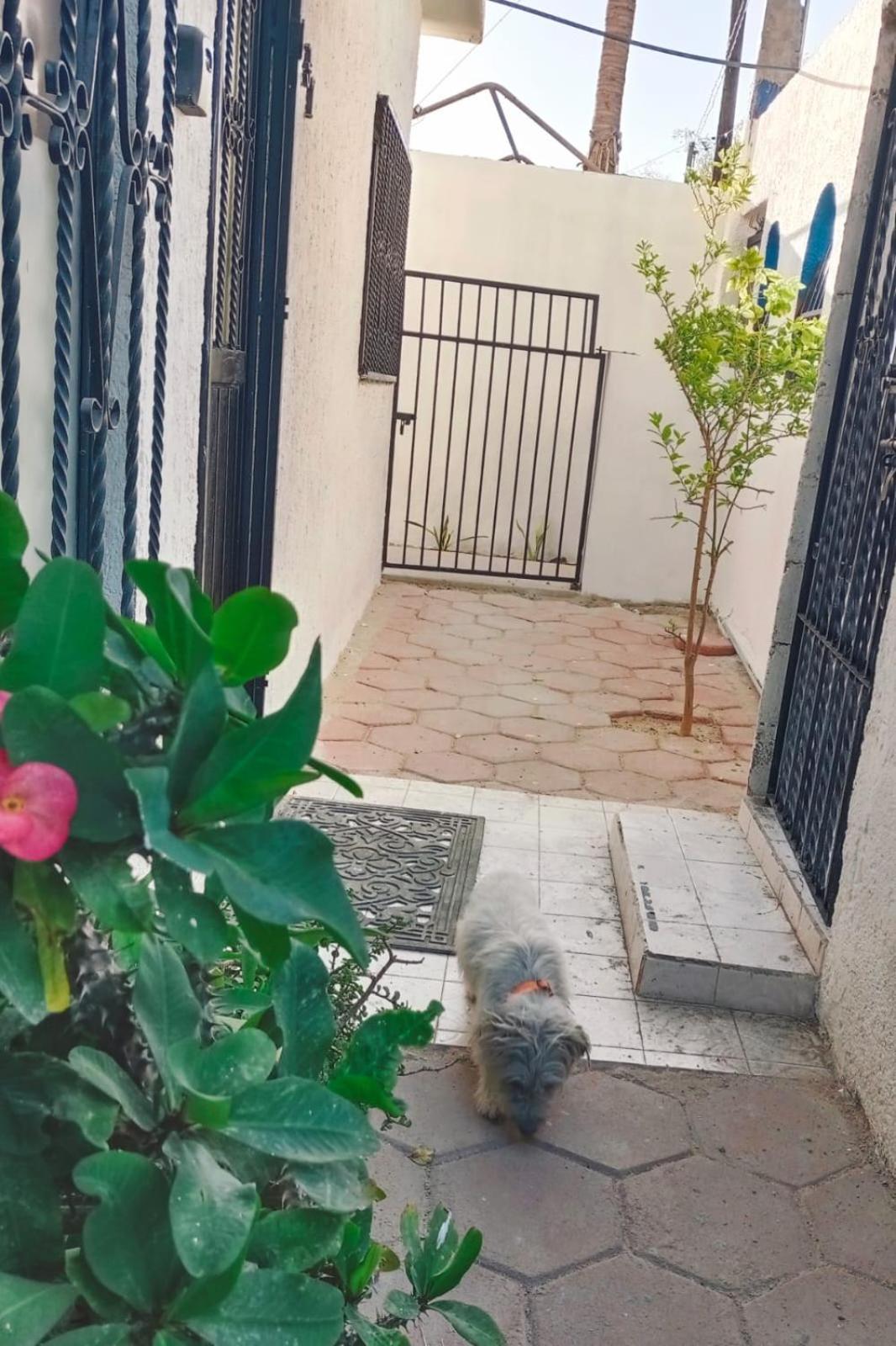 La Casa Del Pescador La Paz Exterior foto